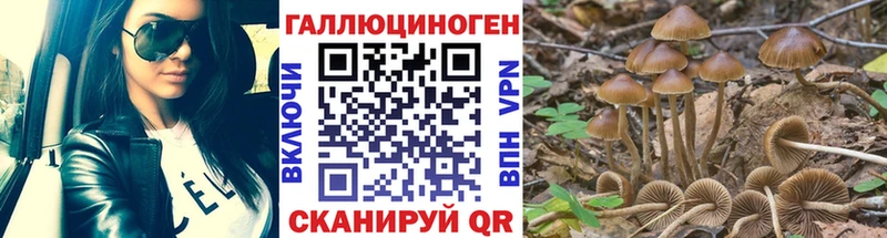 продажа наркотиков Тотьма Псилоцибиновые грибы мухоморы